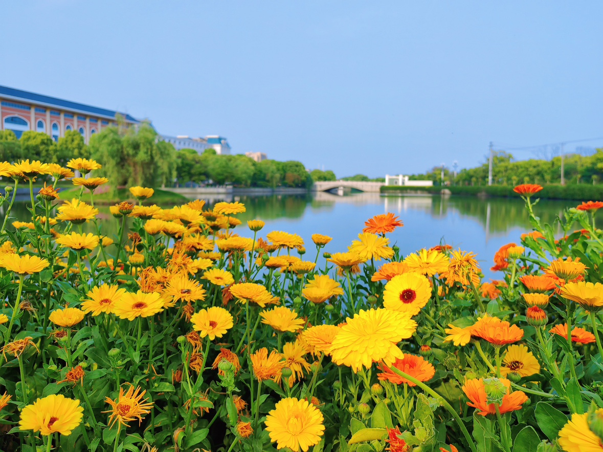 ai风月
再获高新技术企业认定